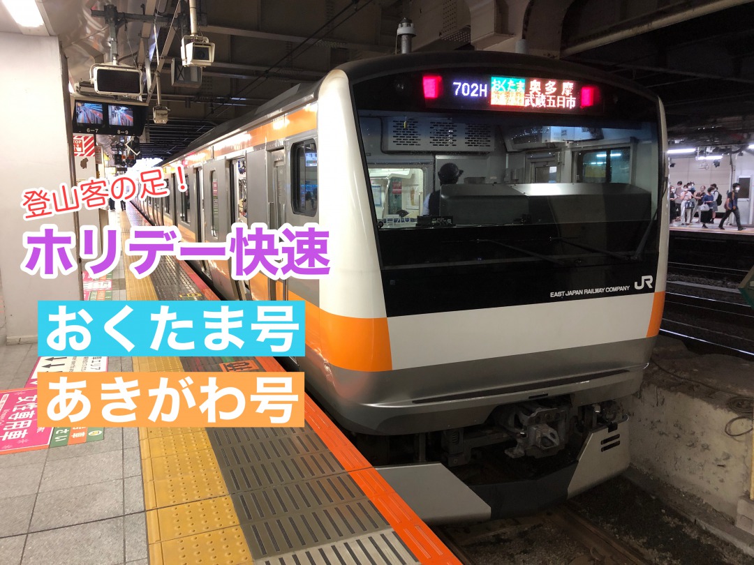 ホリデー快速おくたま号 あきがわ号に乗車 奥多摩エリアへのアクセスに便利なおトク列車