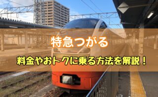 ミュースカイの料金やチケットの買い方を解説 セントレアからはこれが最速